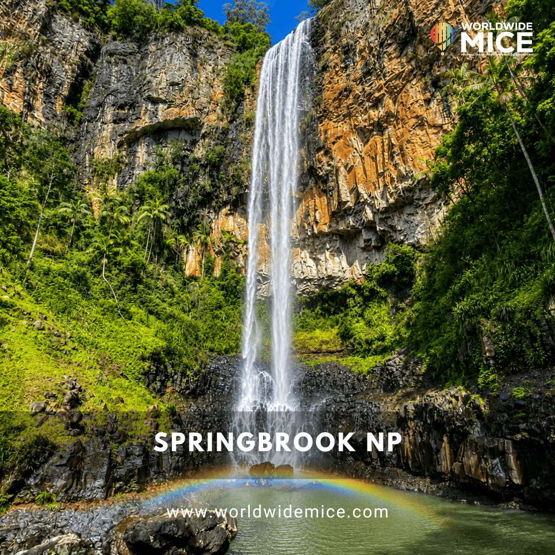 Springbrook National Park